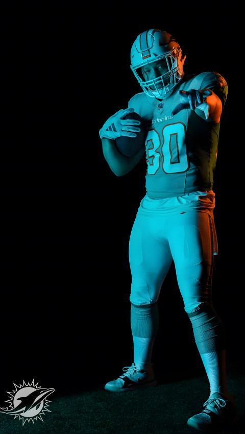 Stunning Miami Dolphins Wallpaper for True Fans