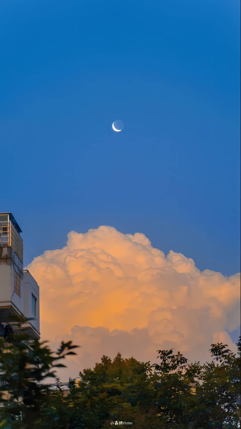 Vintage Indie Photo for a Retro Vibe Wallpaper