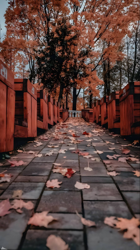 Fall Colors Aesthetic Phone Wallpaper