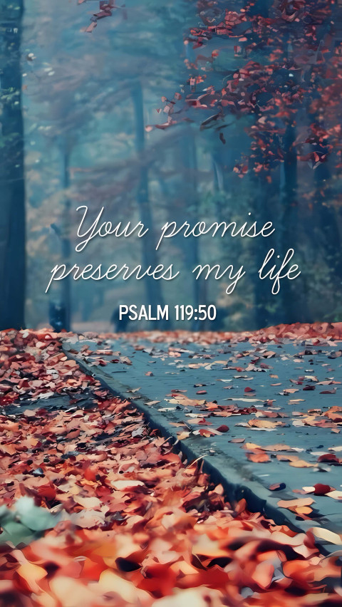 Calming Bible Verse Picture to Reflect On