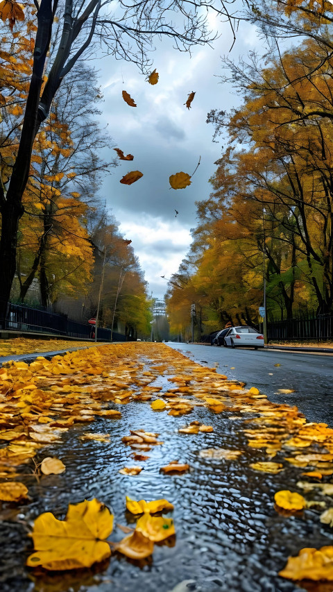 Golden Autumn Path Mobile Wallpaper