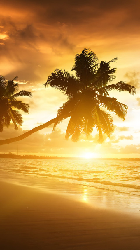 Majestic Palm Tree Mobile Background