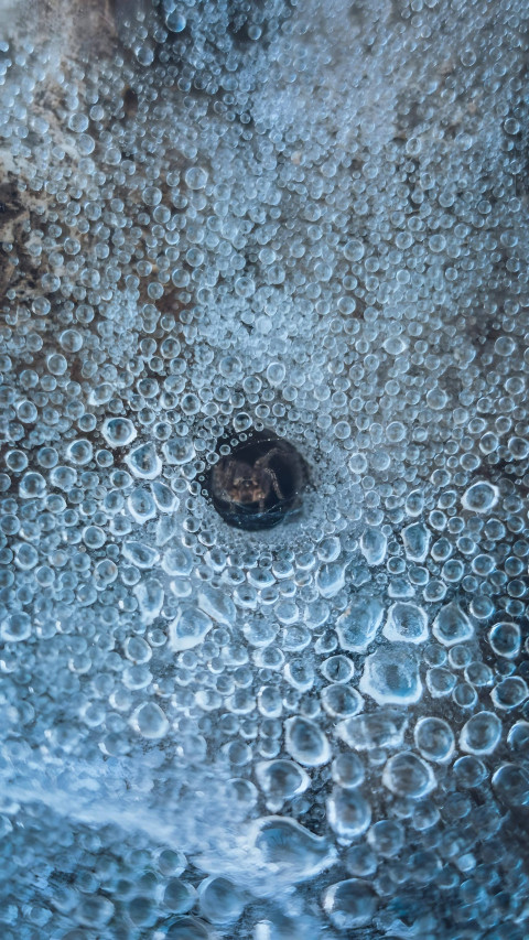 Snowflake Ice Art Wallpaper