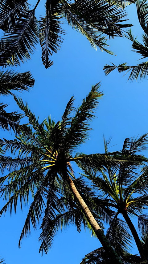 Tropical Paradise Palm Tree Mobile