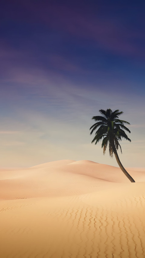 Paradise Palm Tree Mobile Background