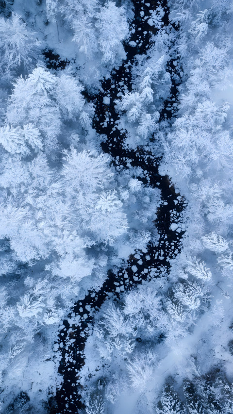 Beautiful Nature Scene 4K Wallpaper
