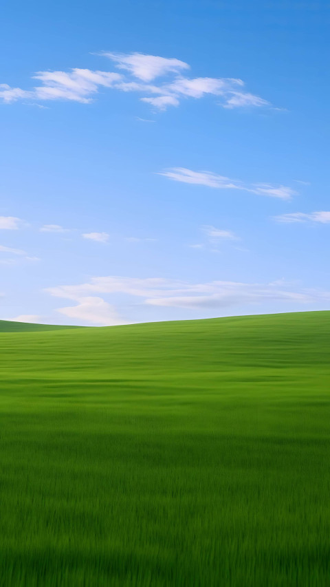 Lush Green Pasture Mobile Image
