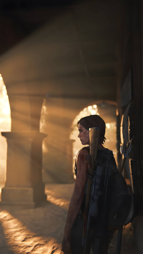 Last of Us 2 Stunning Wallpaper for Your Screen