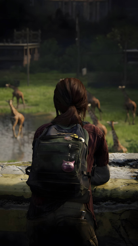 Beautiful Last of Us 2 Game Screenshot Wallpaper 4K