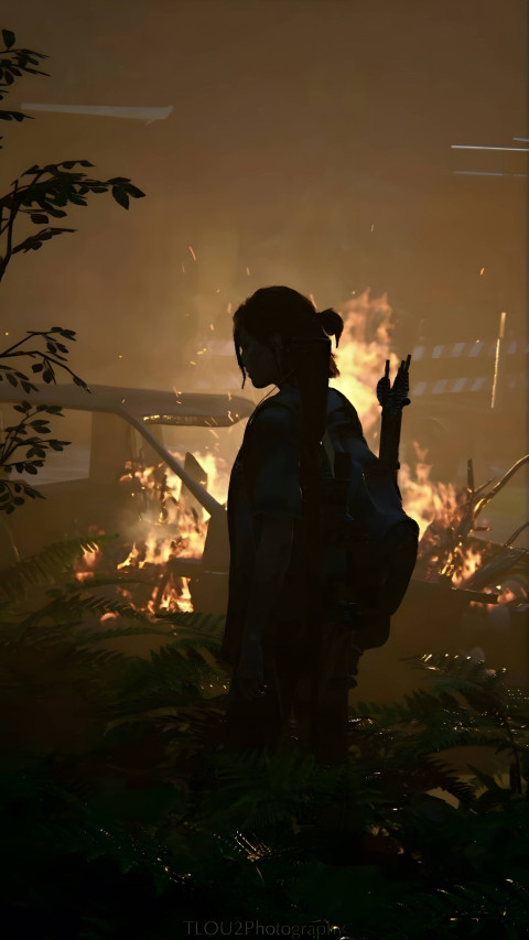 Gorgeous Last of Us HD Wallpaper for Your Device