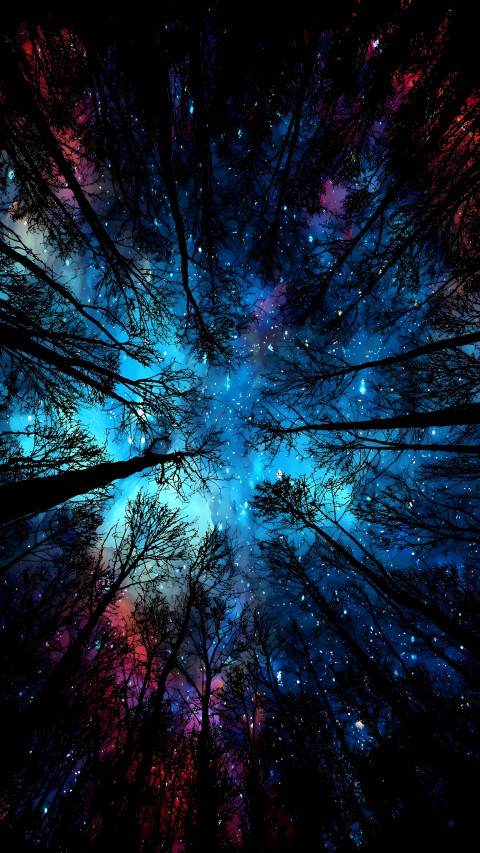 Magical Forest Night Mobile 4K Image