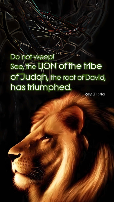 Bible Verse Wallpaper for a Hopeful Spirit