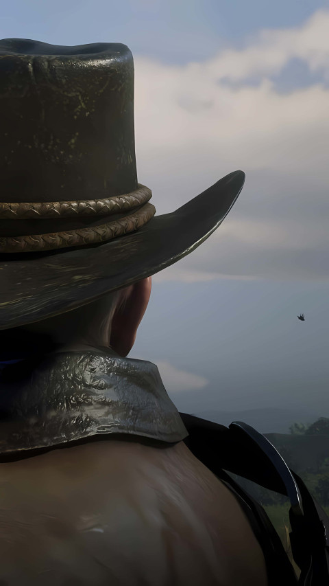 Cowboy Sky View Wallpaper 4K