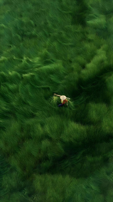 Minimalist Green Grass 4K Background for Mobile