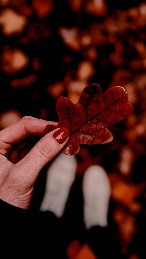 Cozy Fall Cabin Mobile Image