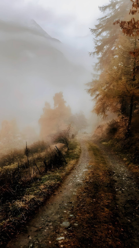 Autumn Serenity Phone Background