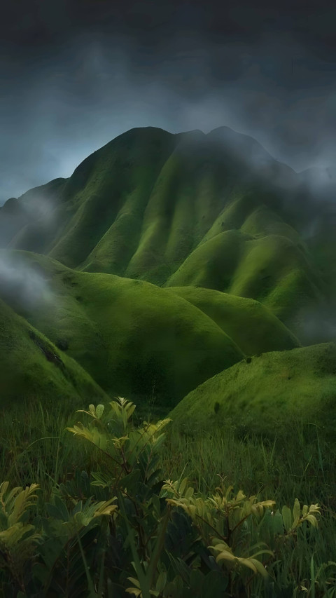 Lush Green Grass Mobile Wallpaper