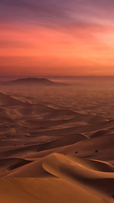 Beautiful Desert Oasis for Mobile Wallpaper 4K