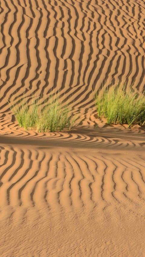 Quiet Desert Scene for Android Mobile Display 4K