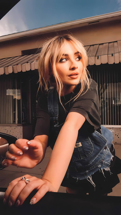 Sabrina Carpenter 4K Concert Art