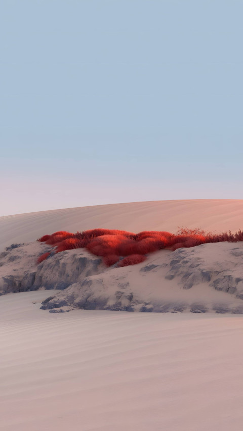 Gorgeous Desert  HD Mobile Picture