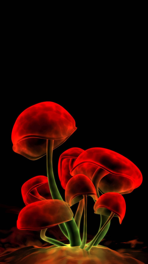 Playful Mushroom Phone Wallpaper That Are Truly Cute