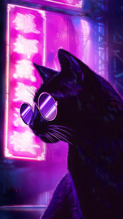 Stylish Cat Backgrounds for Mobile