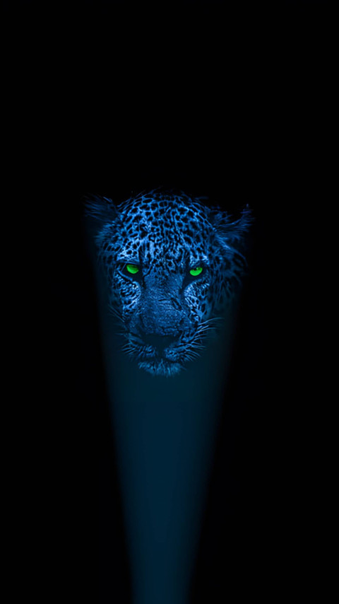 Tiger Light Dark Eyes Wallpaper For Phone