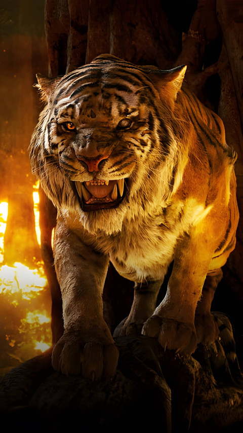 Roaring Tiger in the Golden Hour Wallpaer