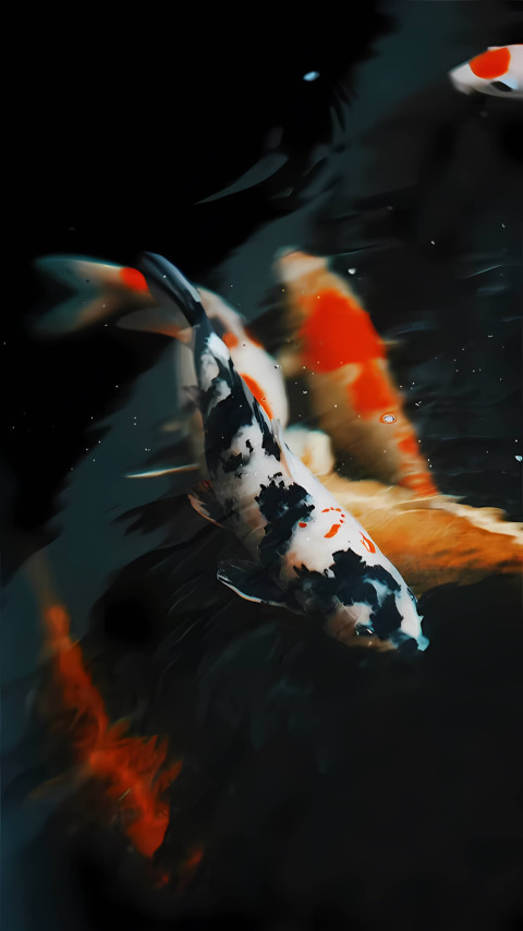 Bright and Colorful Fish Image for Your Screen