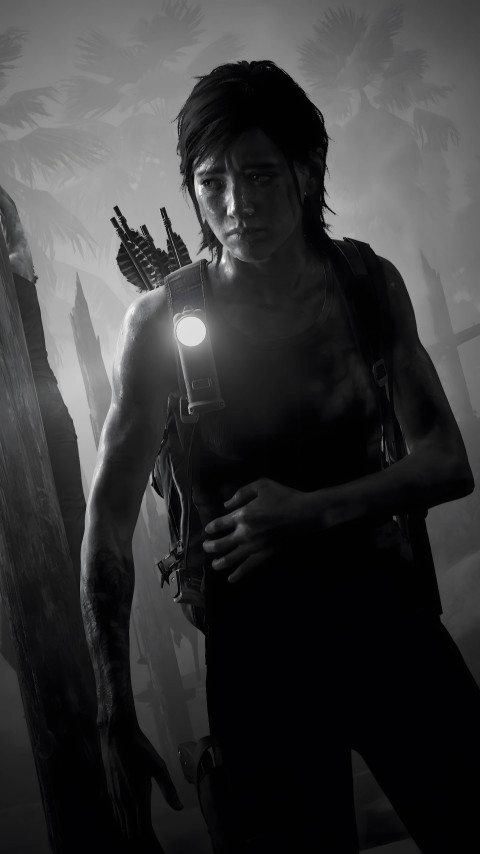 High-Quality Last of Us 2 Background for Your Screen