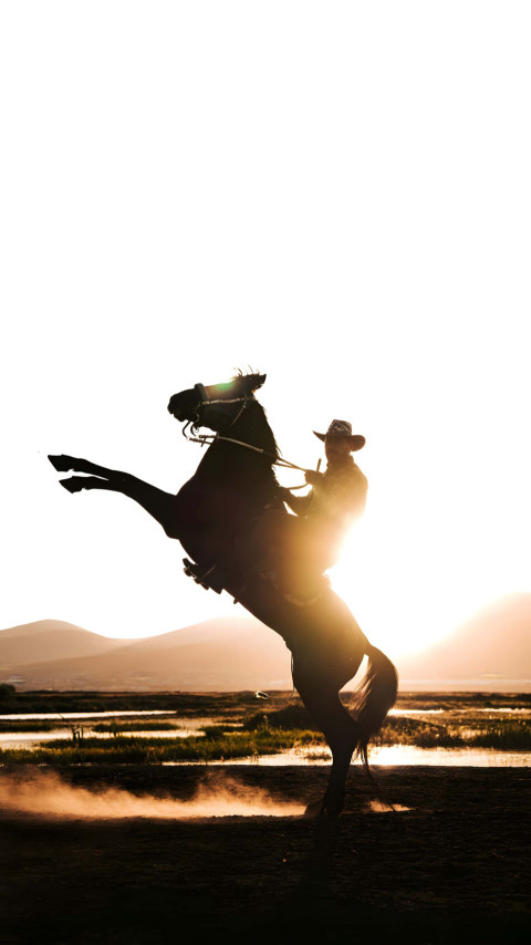 Cowboy in Sunset Image HD