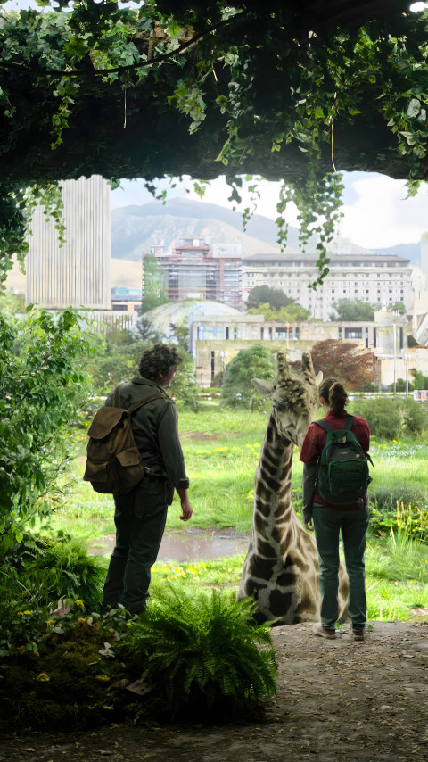 Best Last of Us HD Wallpaper for Your Screen