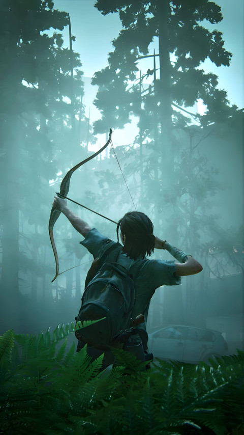 The Last of Us Image HD Collection for Your Screen