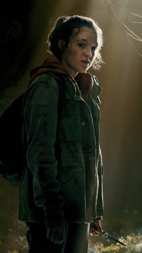 High-Quality Last of Us 2 Wallpaper 4K