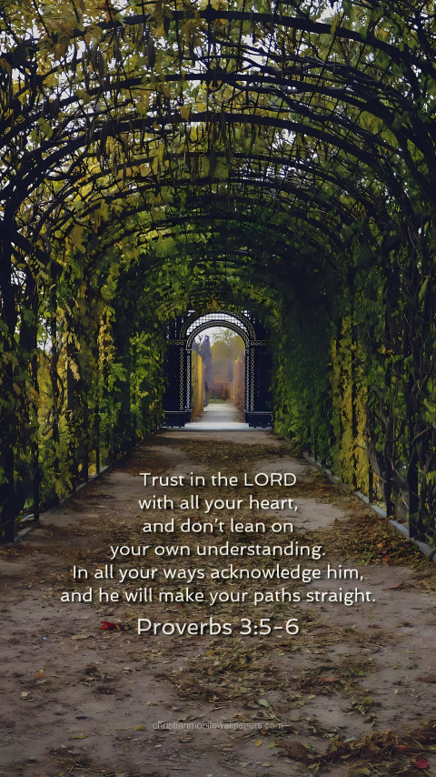 Daily Bible Verse Picture to Motivate