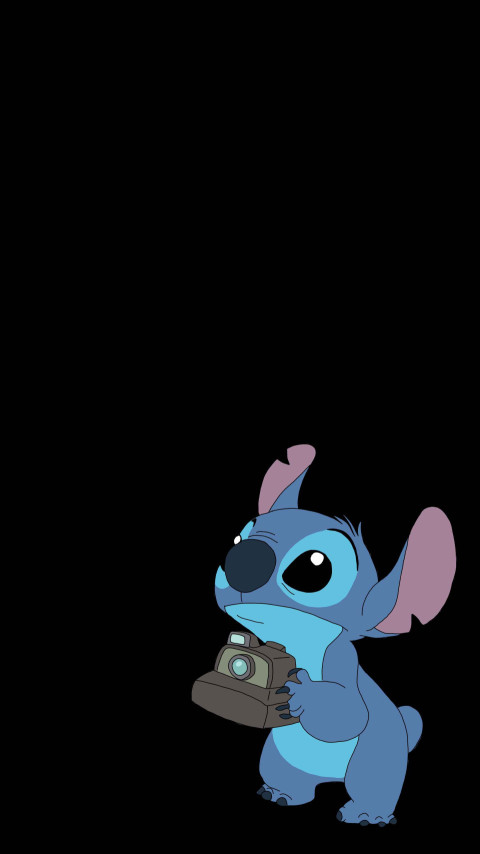 Play with Camera Stitch Background in 4K