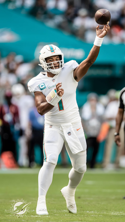 High Quality Miami Dolphins Image for Your Device