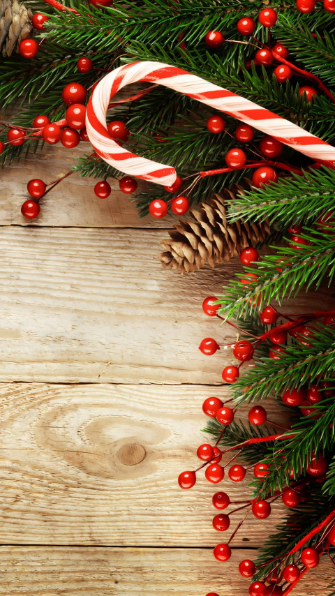 Beautiful Christmas Garland Photo for Your Screen