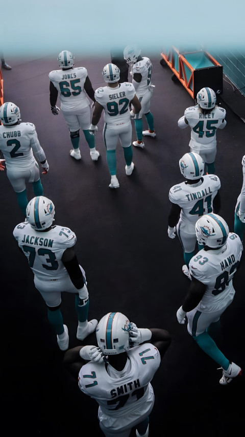 4K Miami Dolphins Picture for Football Background