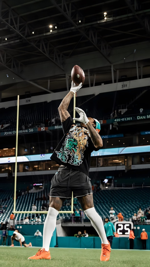 Miami Dolphins Image to Power Your Phone