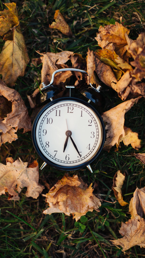 Rustic Fall Vibes for Your Phone