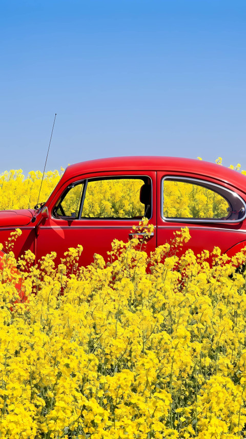 Bright Yellow Red Car Mobile Wallpaper for a Positive Touch 4K