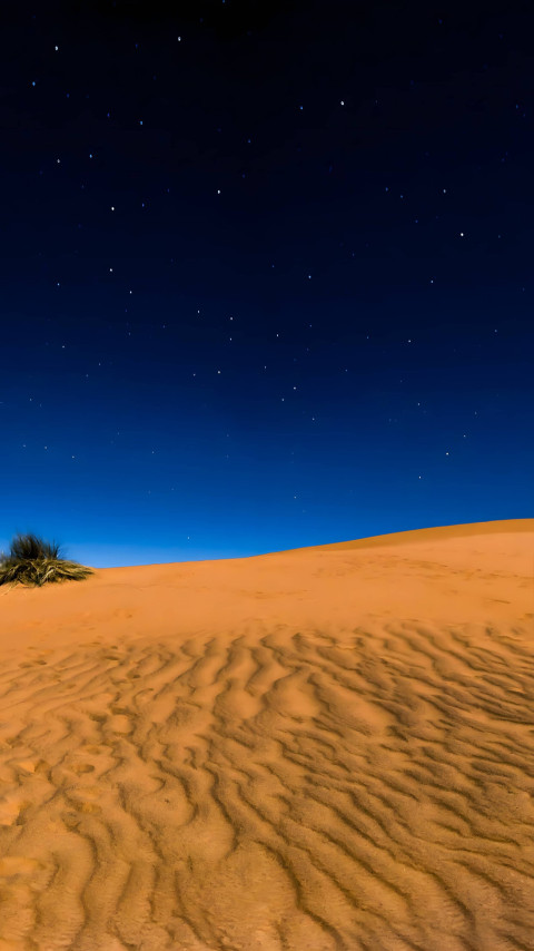 Desert Sand Dune at Dawn for Android Wallpaper