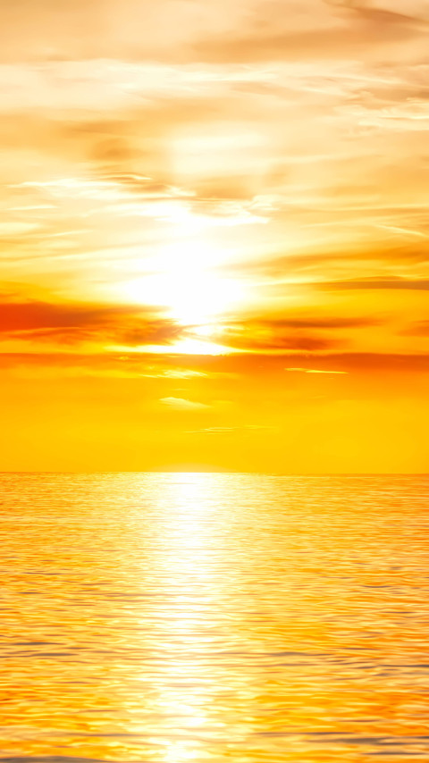 Yellow Aesthetic Smartphone Wallpaper to Brighten Your Day