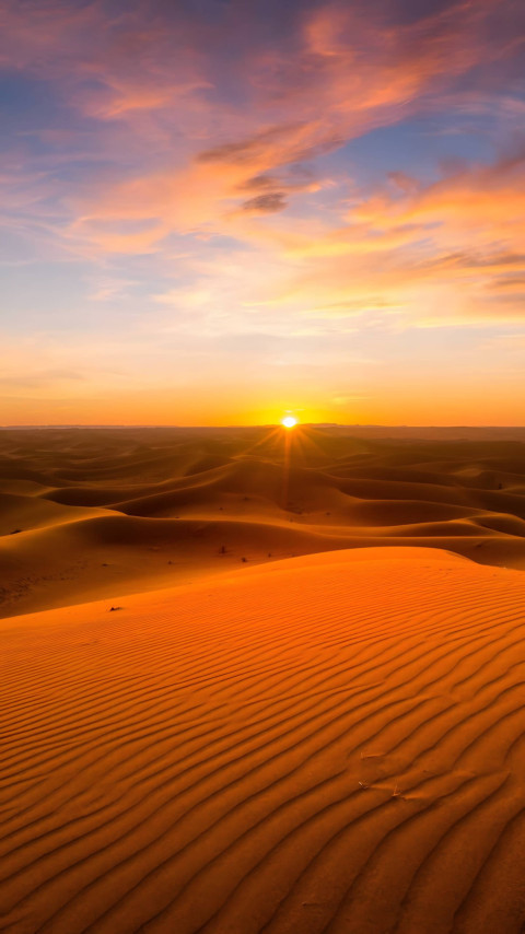 Stunning Desert Vibe for Your Mobile Background