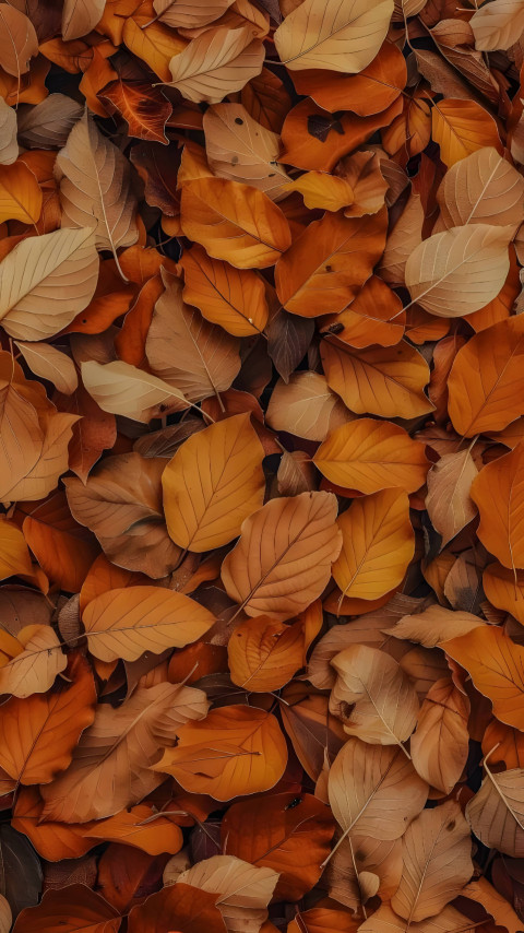 Warm Fall Hues for Home Screen