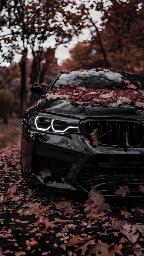 Sharp BMW Mobile Background in 4K
