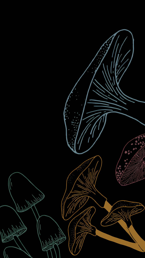 Cute Mushroom Smartphone Wallpaper for a Cozy Vibe