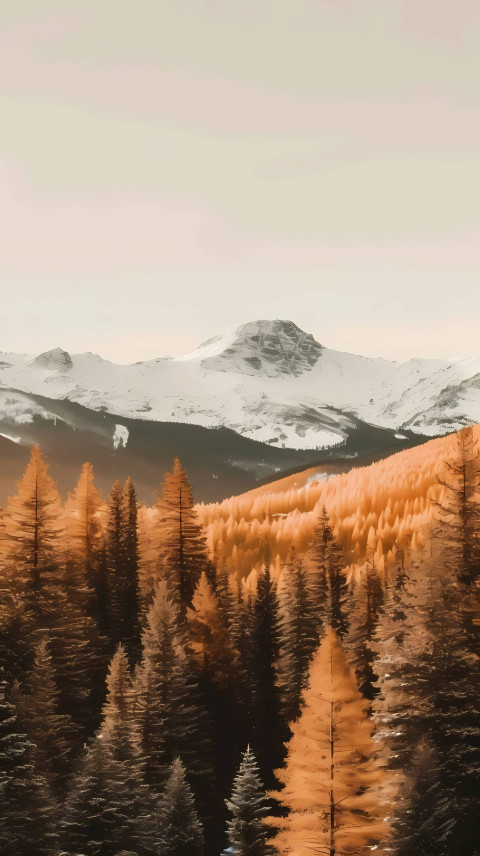 4K Snowy Pine Trees in the Forest Wallpaper